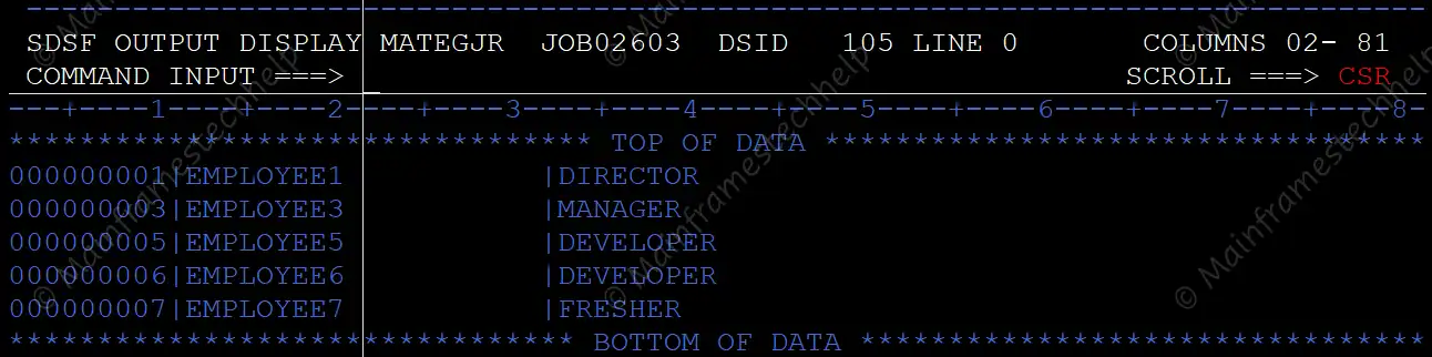 CURSOR Program Output