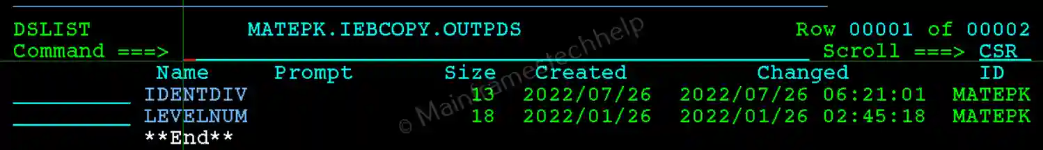 COPYGRP Output