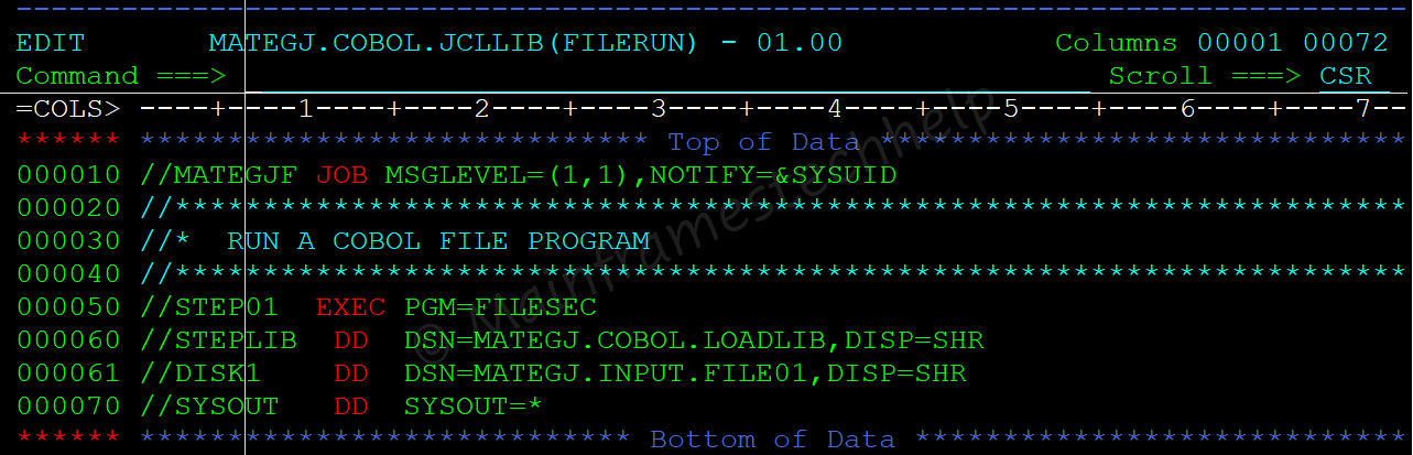 File Section JCL Code