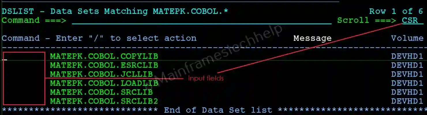 Input Fields