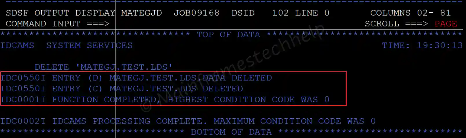 DELETE LDS Output
